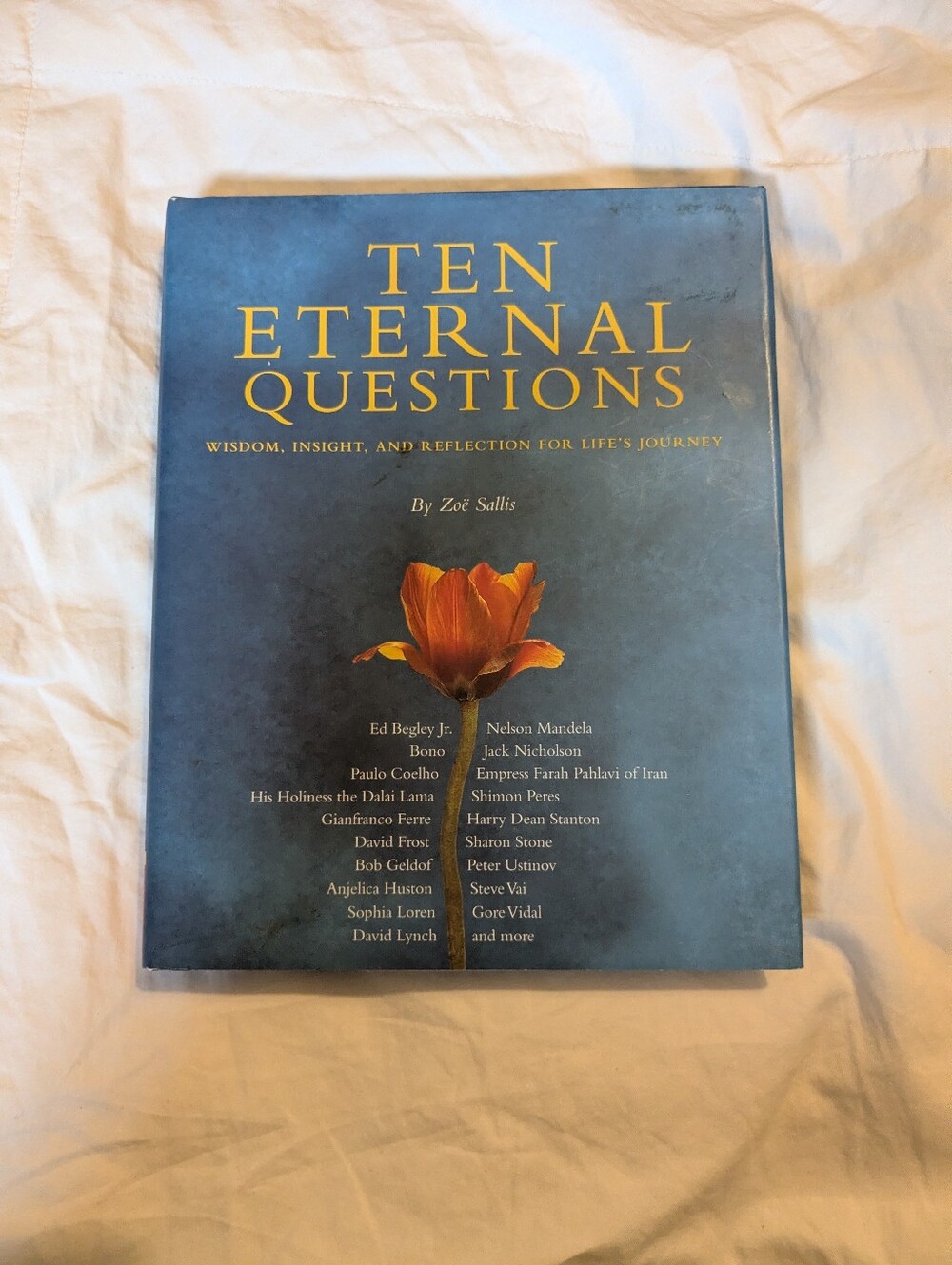 Hardcover Ten Eternal Questions